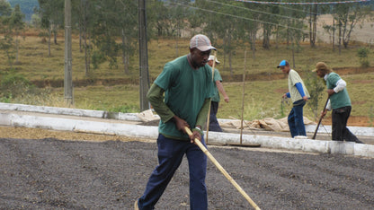 まるでチョコレート？ ブラジル サントアントニオ プレミアムショコラ
