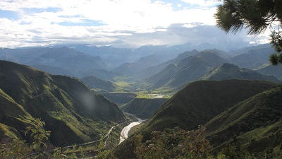 【火山が育んだ奇跡の甘み】コロンビア カウカ SUP ～母なる大地と多様性のブレンド～